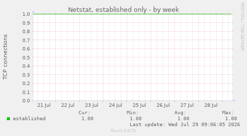 Netstat, established only